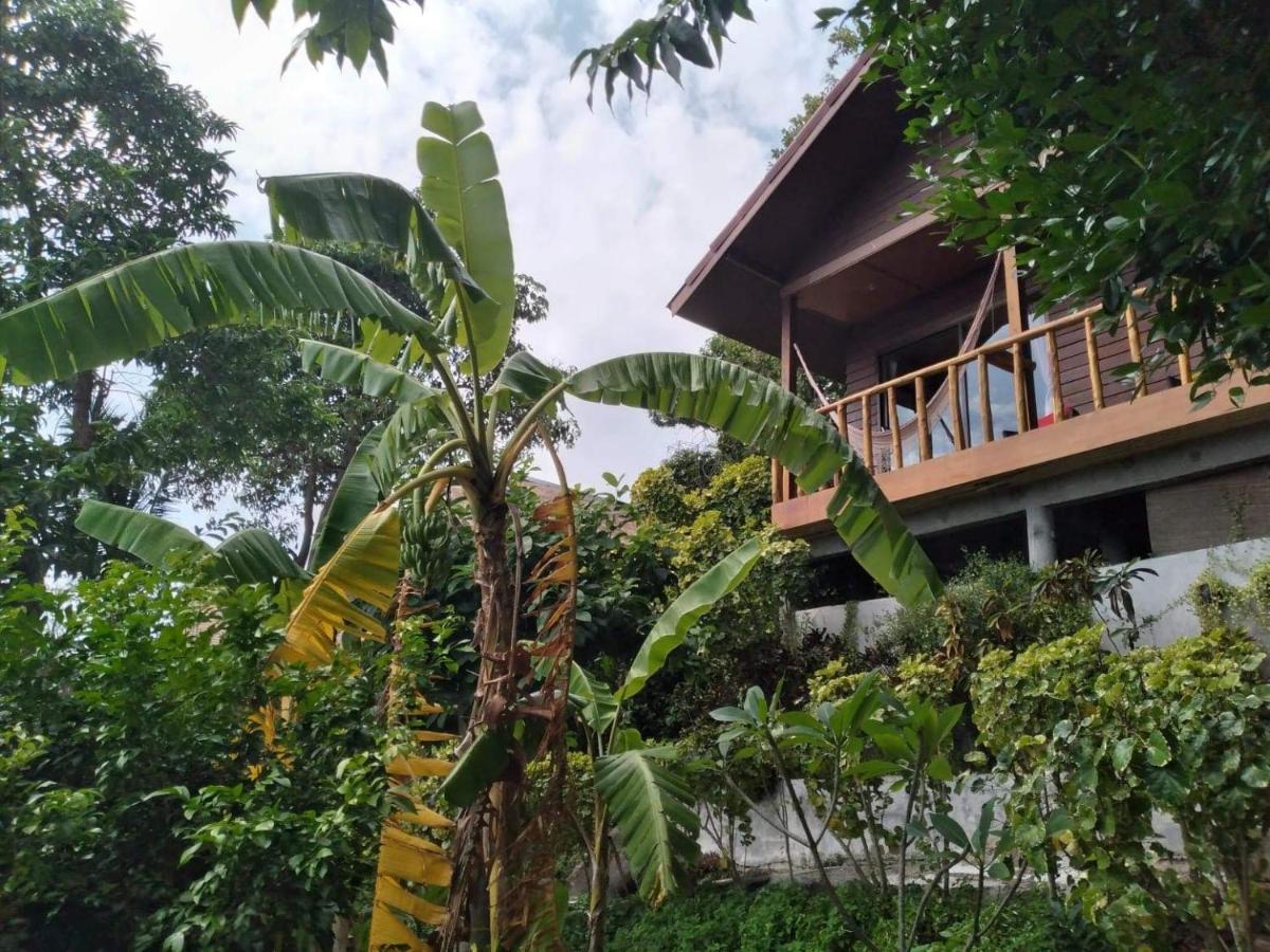 Tree House 3* Тау