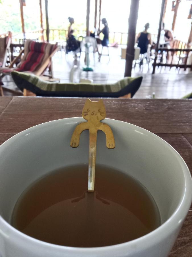 Tree House Тау