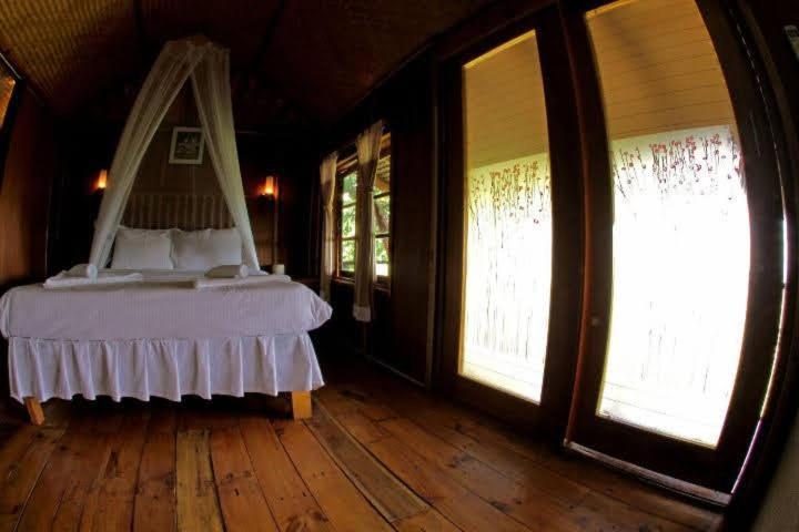 Tree House Тау